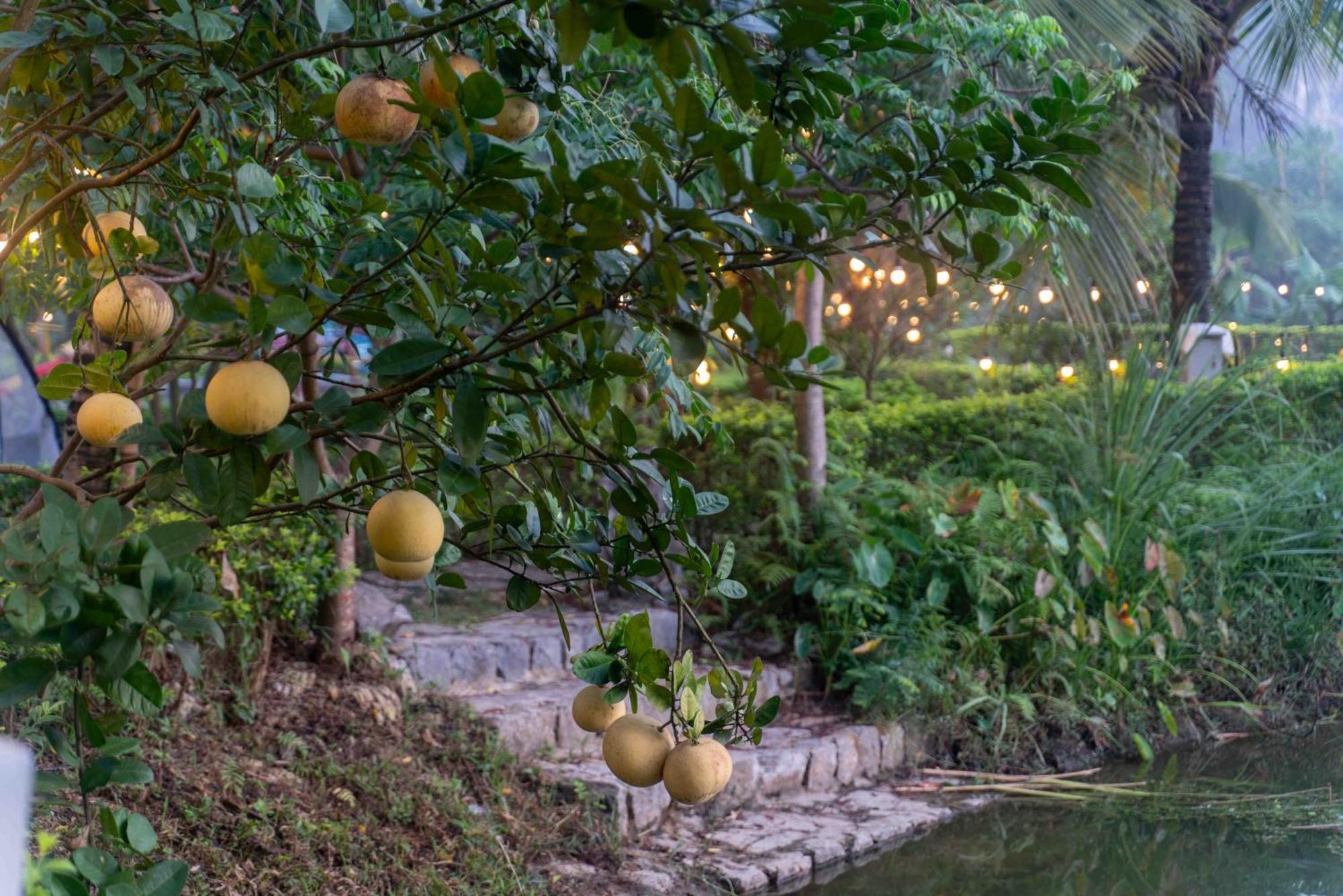 The Goat Boutique Resort Ninh Binh Exterior photo